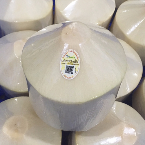 Dừa gọt kim cương